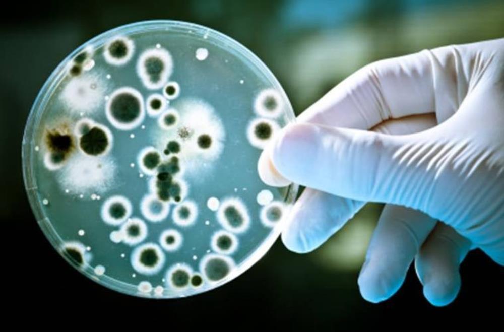 Superbakterija otporna na sve poznate antibiotike širi se bolnicama