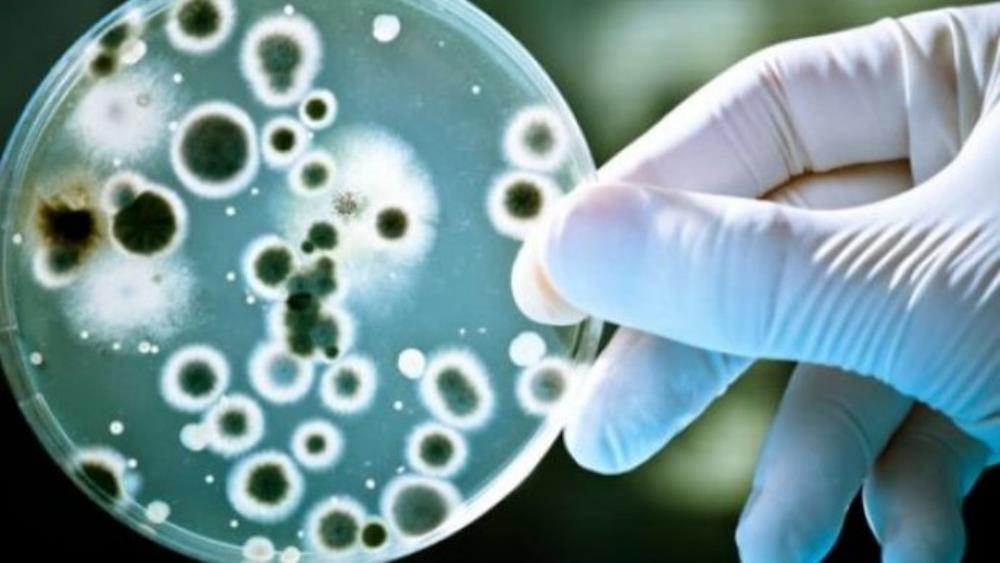 Hrvatski stručnjaci otkrili biomarkera za personalizirano liječenje upalnih bolesti crijeva