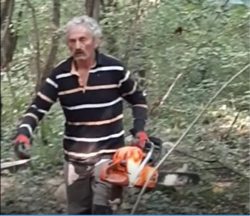 Ruši se sopnička šuma - lik s motorkom krenuo na snimatelja - video