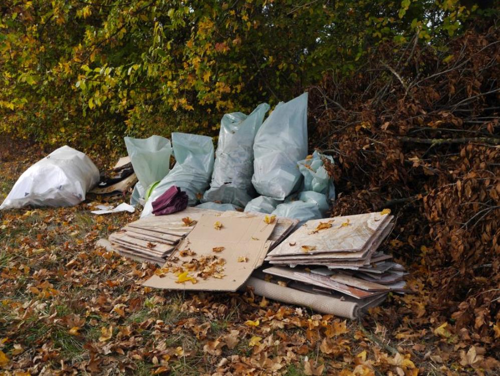 Odbacivanje smeća u prirodu na području Sesveta čini se da je postala masovna pojava