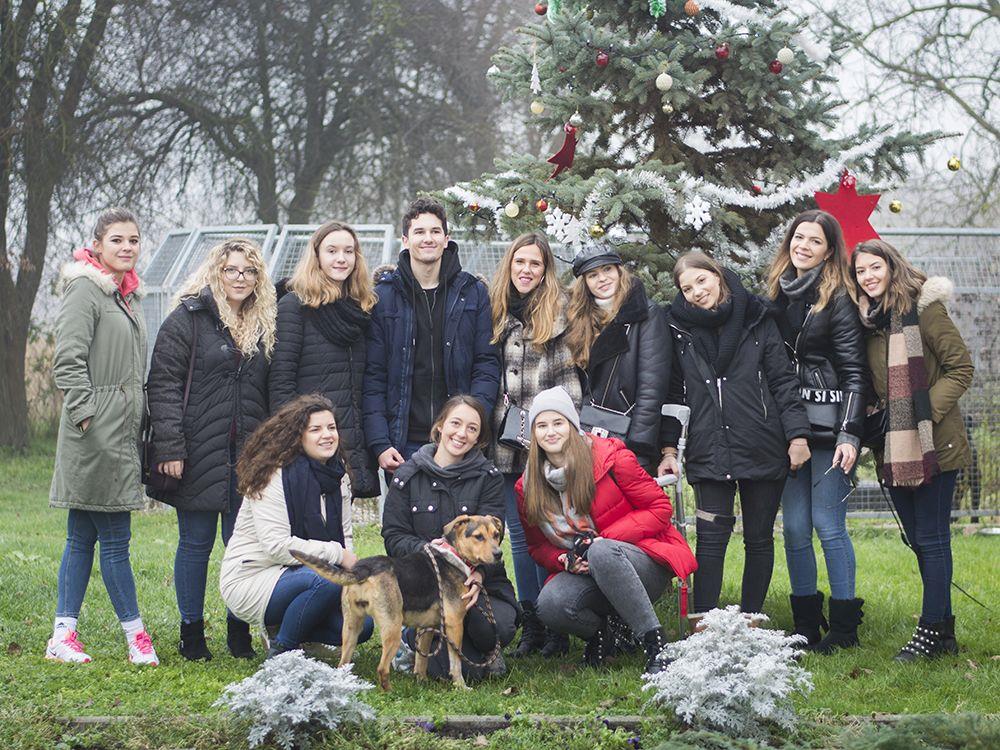 Studenti ekonomije postali influenceri za udomljavanje pasa iz Dumovca