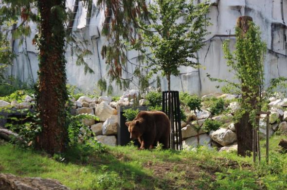 Zoološkom vrtu Grada Zagreba vraćen dio povijesnih vizura,   a neke autohtone životinje dobile nove nastambe 
