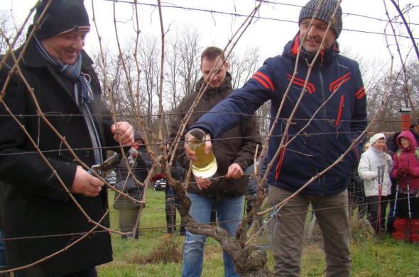 Sesvetski vinogradari obilježili Vincekovo u Bukevju