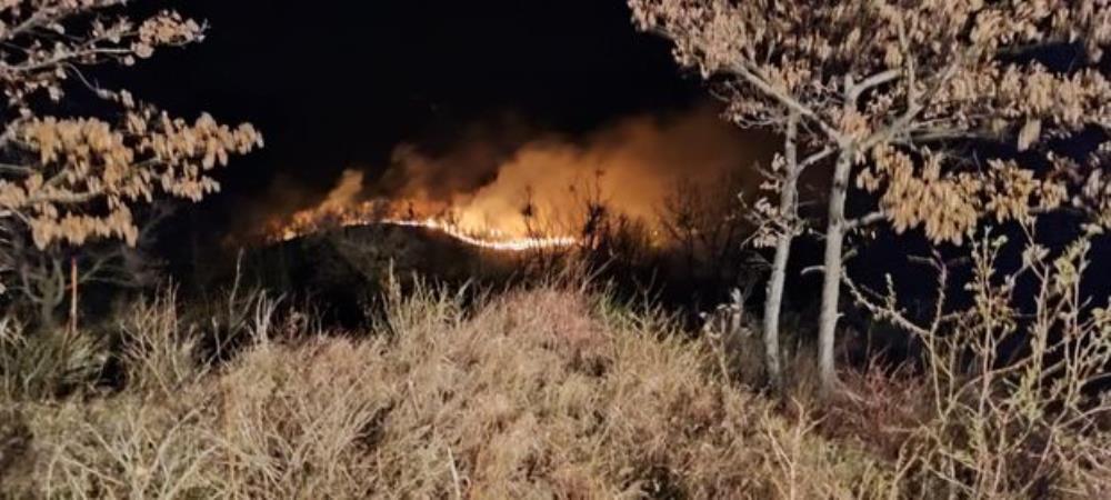 Ponovo veliki požar šume i raslinja, kod K. Sopnice opožareno čak 40 hektara zemljišta