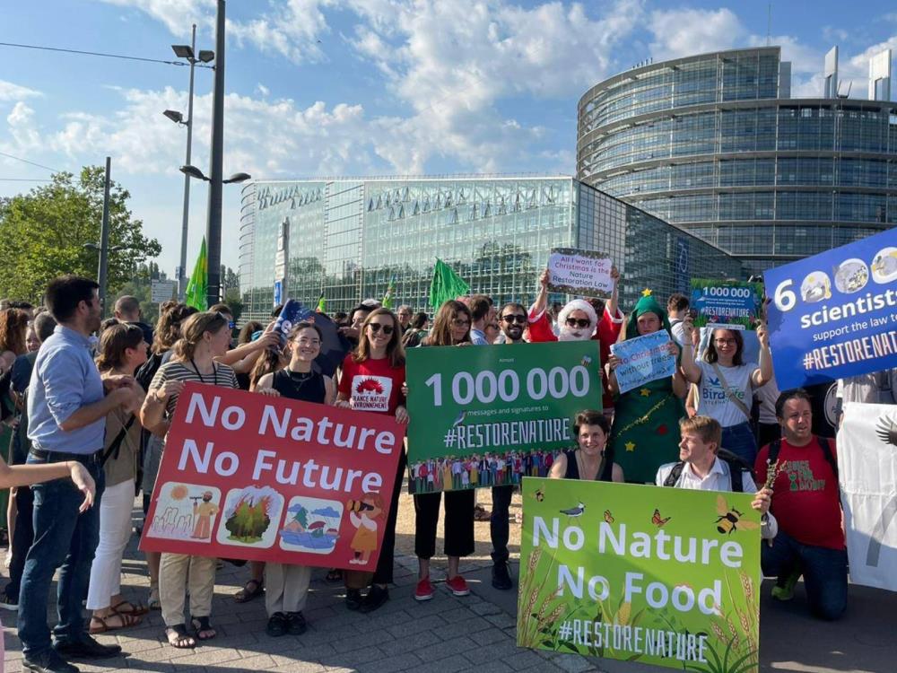 Izglasan oslabljen Zakon o obnovi prirode u Europskom parlamentu