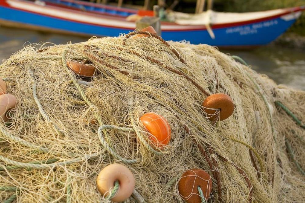 Makovac: 'Kazne ribarima - dio predizborne kampanje u Sloveniji'