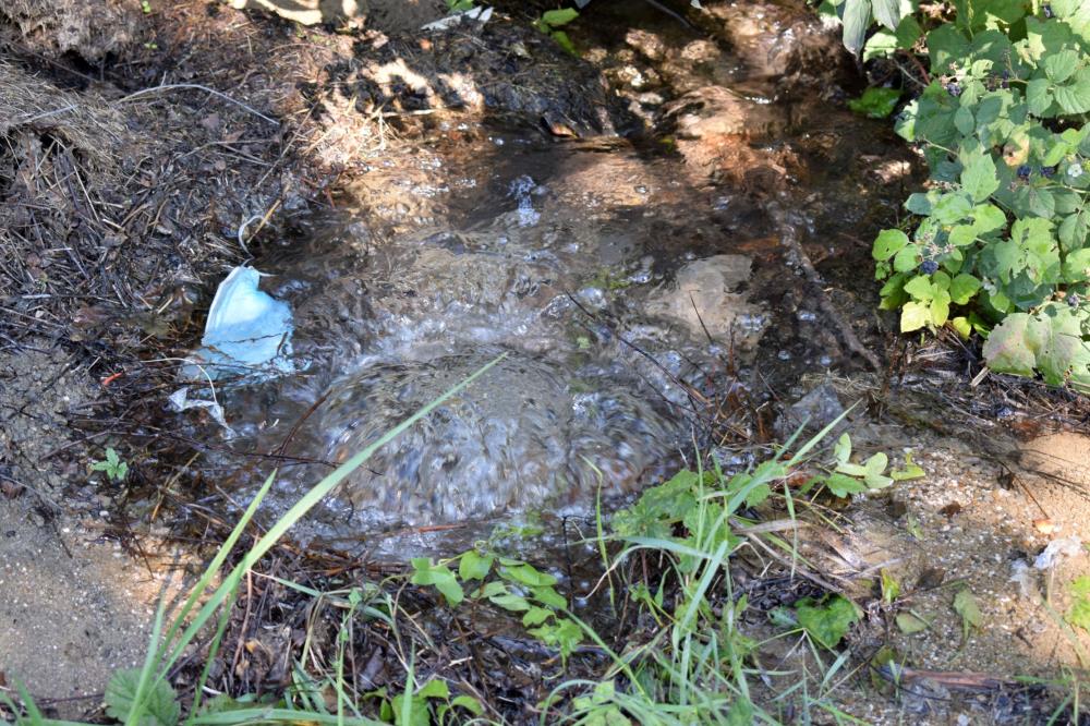 Voda u Sesvetama danima šiklja iz zemlje, Vodovod tvrdi: Nije naša cijev