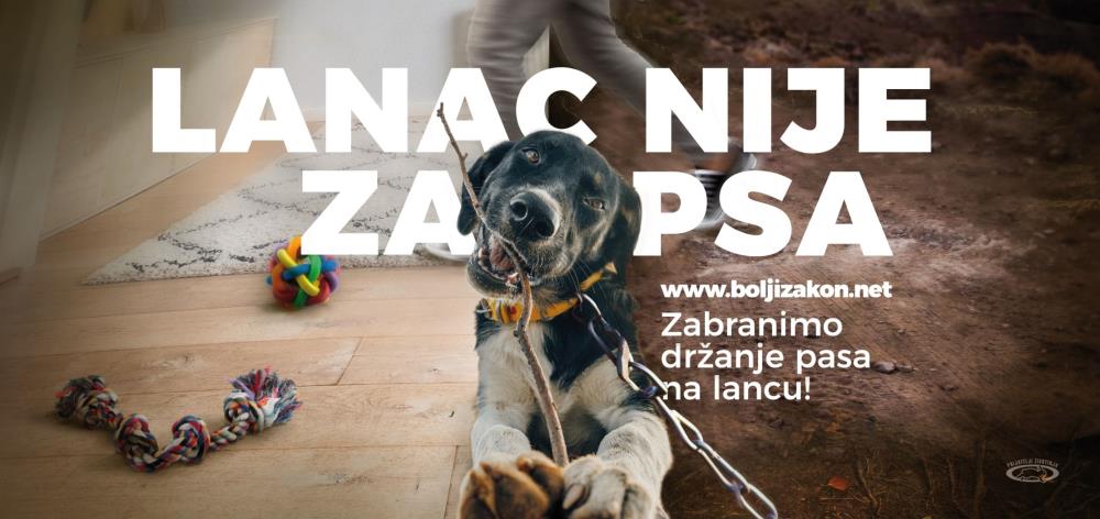 Diljem Hrvatske apel za zabranu lanca - Zakon treba štititi pse od strave života na lancu!